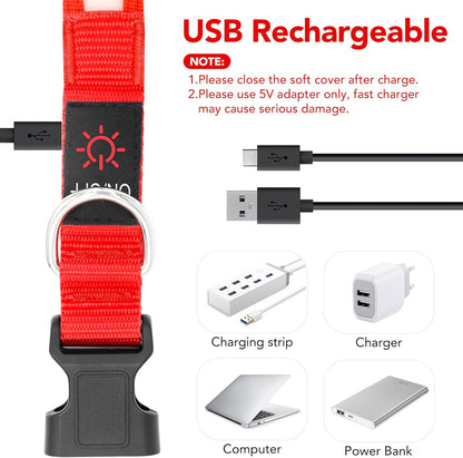 Adjustable USB Rechargeable LED Dog Collar - Medium Size, Red - Super Bright Safety Light for Enhanced Visibility