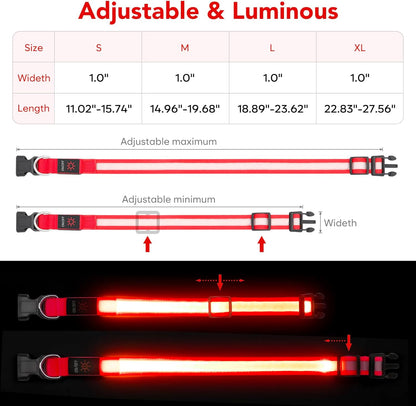 Adjustable USB Rechargeable LED Dog Collar - Medium Size, Red - Super Bright Safety Light for Enhanced Visibility