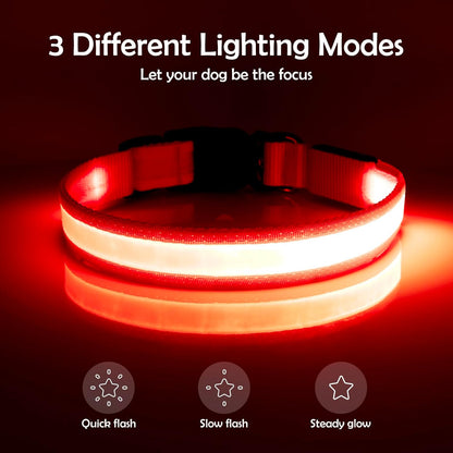 Adjustable USB Rechargeable LED Dog Collar - Medium Size, Red - Super Bright Safety Light for Enhanced Visibility