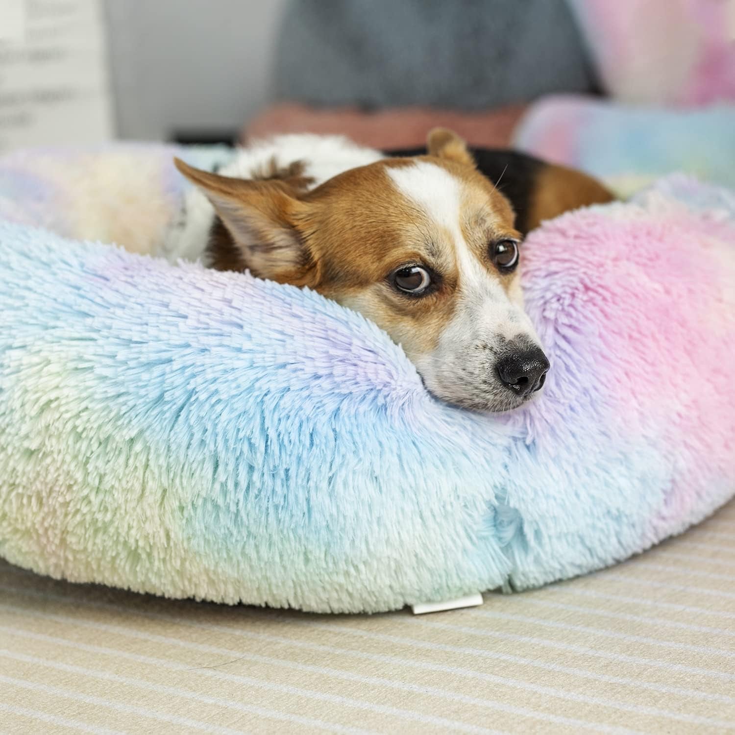Anti-Anxiety Round Fluffy Plush Faux Fur Washable Dog and Cat Bed for Small, Medium, and Large Pets, Designed to Relieve Joint Discomfort and Enhance Sleep (20"/24"/27", Rainbow)
